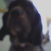 jayhubbardjlove - @jayhubbardjlove - TikTok