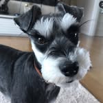 Love jackson! - @jacksonmood - Instagram
