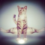 Love Tucker - @airmoonedgy - Instagram
