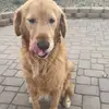 Love Tucker - @tucker_world - TikTok