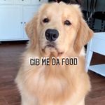 Love Tucker♥️🐕 And Linda♥️🐕 - @tucker_budzyn_fan - Instagram