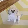 Tucker - @tucker_love123 - TikTok