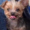 lovelydavis - @lovelydavis33 - TikTok