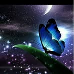 Loving Angel - Facebook