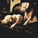 Lovoris Richardson Parr - @lovorisrichardsonparr - Instagram