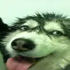 lowerlayers - @llenjoyer - TikTok