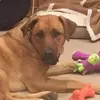 Becky Lowell - @becky.lowell - TikTok