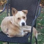 Lowell A. Galumbeck - @lowellgalumbeck - Instagram