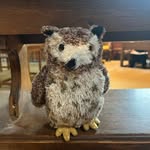 ‘Erbert Owells - @erbert_owells - Instagram