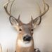Lowell Graham - Facebook