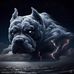 lowell jae gray - Facebook