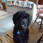 Howard Lowell - @howard.lowell - Instagram