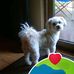 Lowell Howard - Facebook