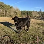 Lowell Hubbard - Facebook
