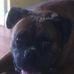 Lowell McElroy - Facebook
