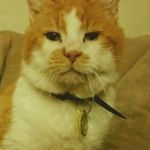 morrisfromlowell - @morrisfromlowell - Instagram