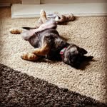 robertlpierce - @robertlowellpierce - Instagram