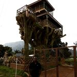 Lowell - @lowell_rose11 - Instagram