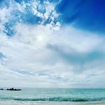 Lowell Rose - @eagerrelief.rose - Instagram