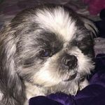 Rose Lowell Billi - @roselowellbilli - Instagram
