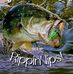 Lowell Smith - Facebook