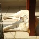 Lowell Smith - @lowellrsmith - Instagram