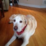 Lowell Smith - @lowell.smith.1000 - Instagram