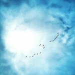 Lowell Steinbrink - @lowellsteinbrink - Instagram