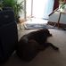 Lowell Wallace - Facebook