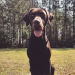 Lowell Washington - @lowellwashington25 - Instagram