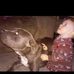 Lowell Williams - Facebook