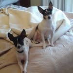 Lowell Williams - @lowell.williams.188 - Instagram