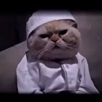 قاری - @loy._._.shawqi._._.001 - Instagram