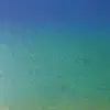 lloydnelson72 - @lloydnelson72 - TikTok