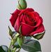 Loyda Cabrera - Facebook