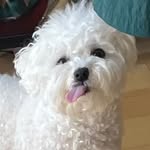 lu hong - @lu_hong97 - Instagram