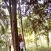 Lu Yang - Facebook