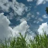 luyang - @luyang45 - TikTok