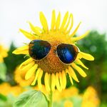 Luân Bùi - @luanbui275 - Instagram