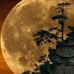 Luân Ngô - Facebook