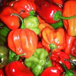 amore&cucina ( Luana Epifani) - @luanacooking - Instagram