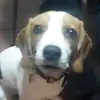 Luana Merelle - @luana.merelle - TikTok