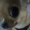 Luana Ramos - @luana..r2 - TikTok