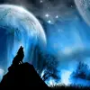 abrams.luann - @abrams.luann - TikTok