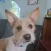 Luann Adams Dominger - @hollygirladvdentures - TikTok