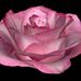 Luann Anderson - Facebook