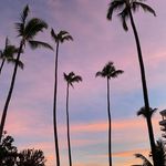 LuAnn Barker - @luannbarker - Instagram