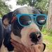 LuAnn Bauer - Facebook