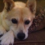 Lu Ann Carlson - @luann.carlson.7 - Instagram