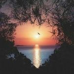 Luann Coleman - @luanncoleman7 - Instagram
